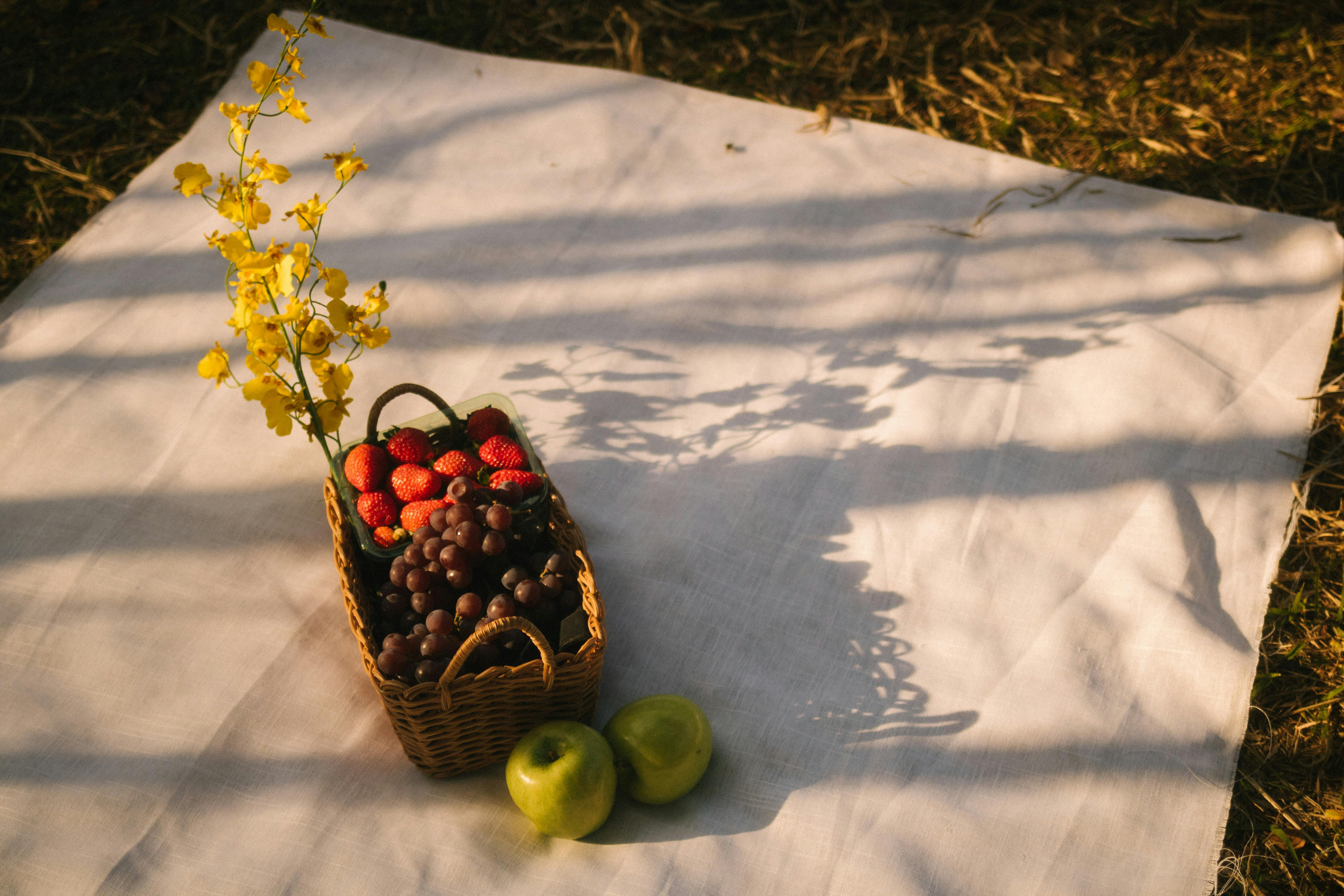 Beautiful picnic basket spread